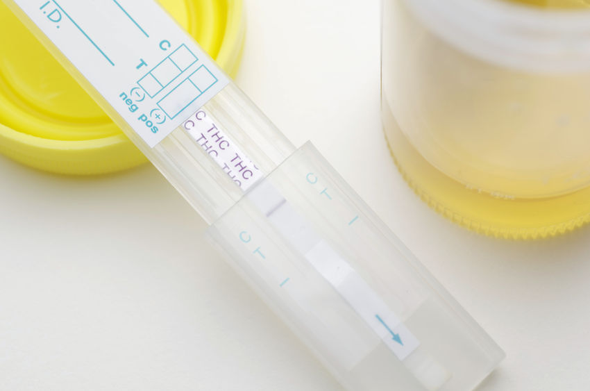 DOT Drug Testing Rules - Employee Education | SAP Referral Services