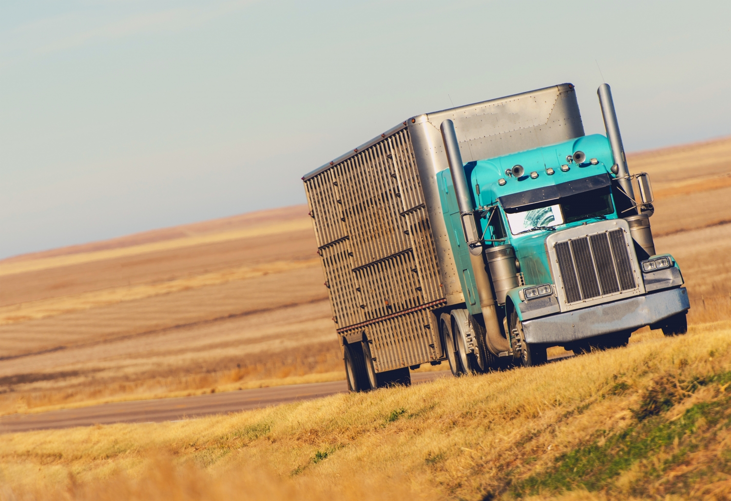 sap program for truck drivers -- SAP Referral Services