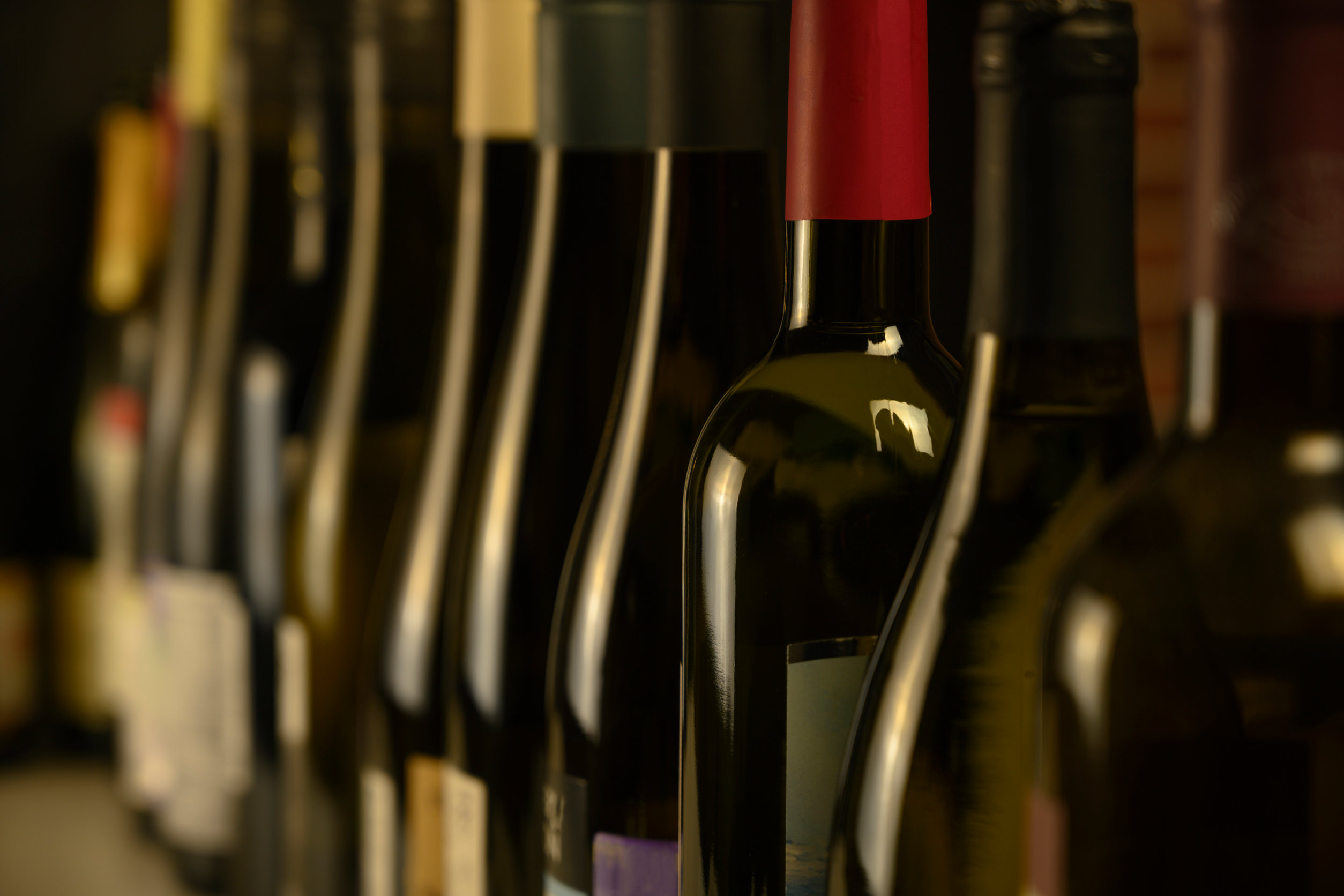 Seasonal and Regional Influences on Alcohol Abuse | SAP Referral Services